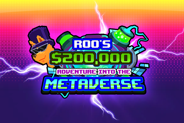 Roo's $200,000 Adventure into the Metaverse